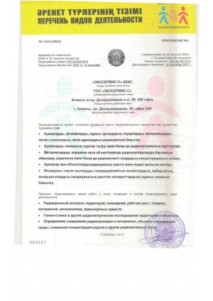 государственная лицензия на занятие "предоставление услуг в области атомной энергетики" (лист 3 из 8)